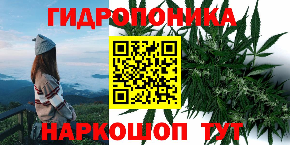 МАРИХУАНА AK-47  Бошки Шишки MAZAR  Бошки Шишки SATIVA & INDICA  Нефтекумск  Вход с VPN  Канабис Ganja 